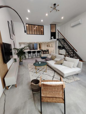 Beautiful apartments & Loft in Beziers center
